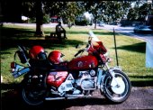 1977 Honda GL 1000 Gold Wing photo
